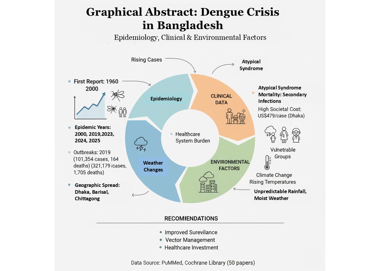 Graphical Abstract